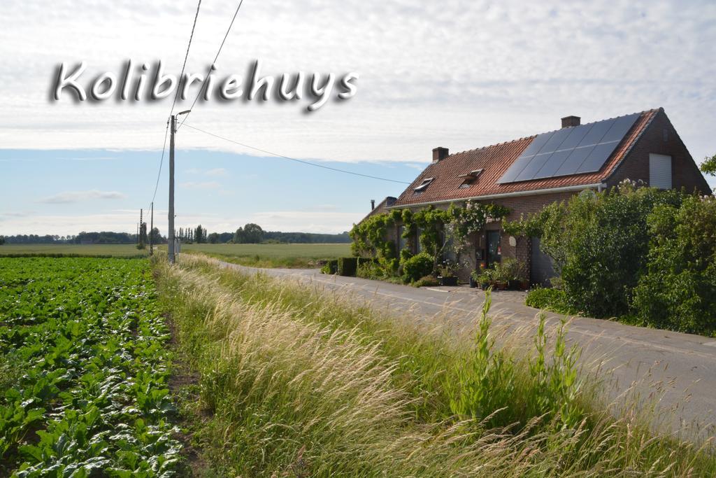Guesthouse Kolibriehuys Nieuwkerke Dış mekan fotoğraf